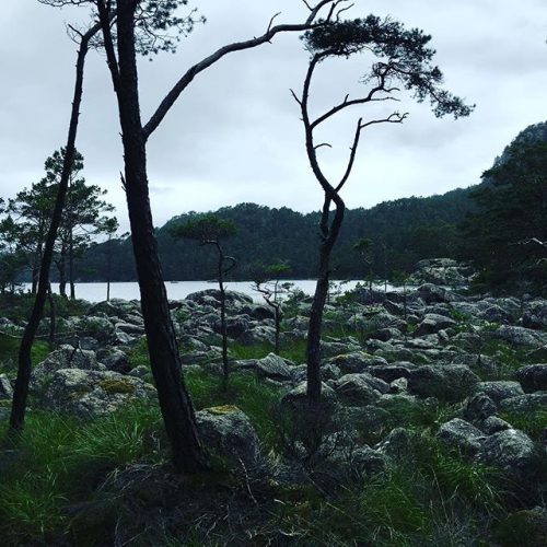 gc geocaching norwegen skogli